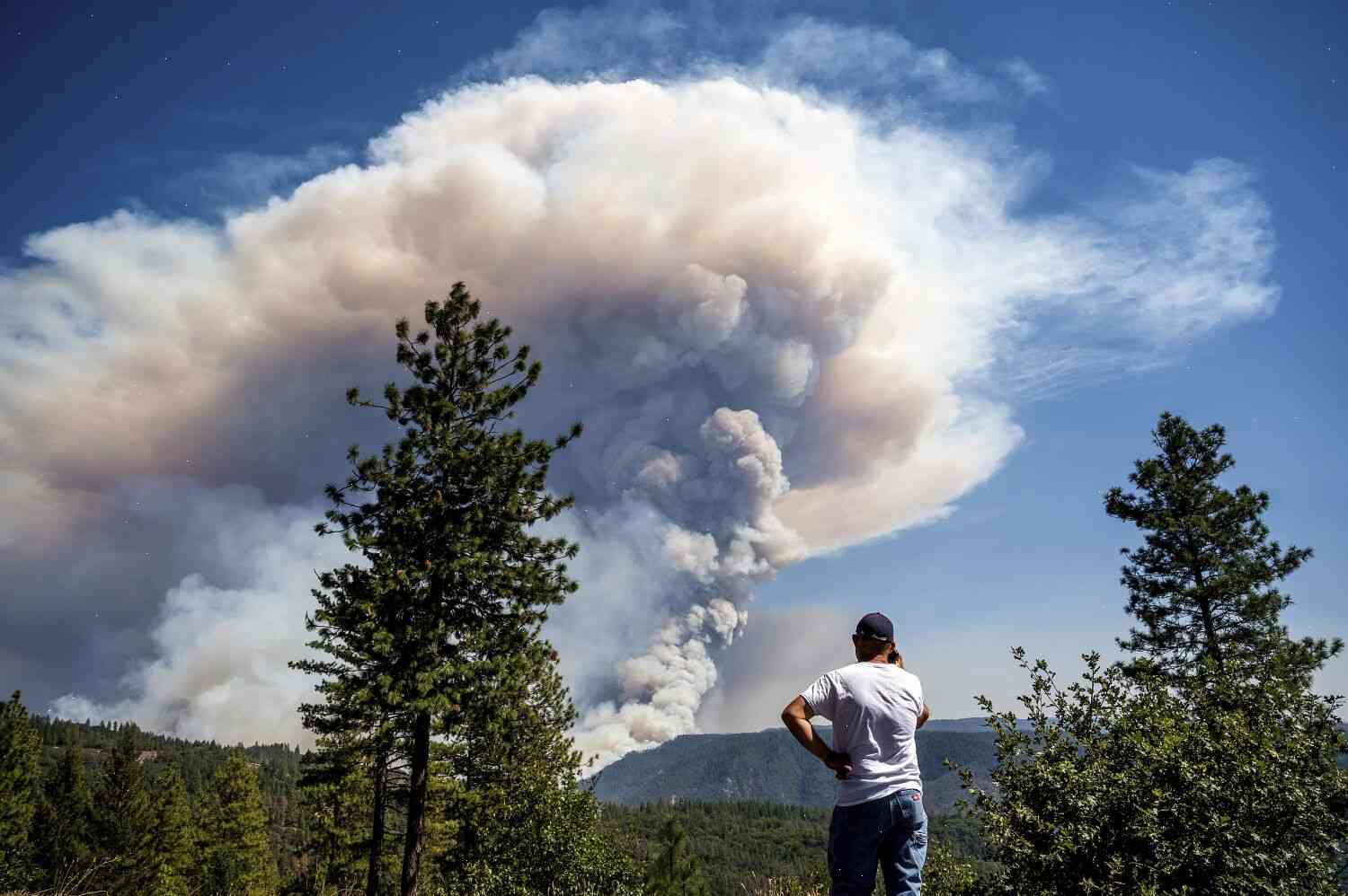 Pyrocumulus Clouds During Natural Lightning-Caused Fires